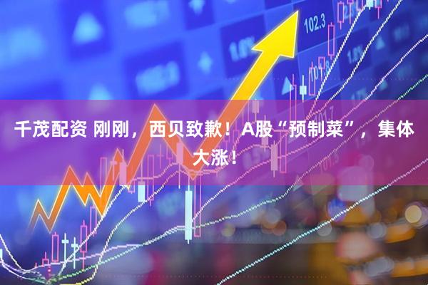 千茂配资 刚刚,西贝致歉!A股“预制菜”,集体大涨!